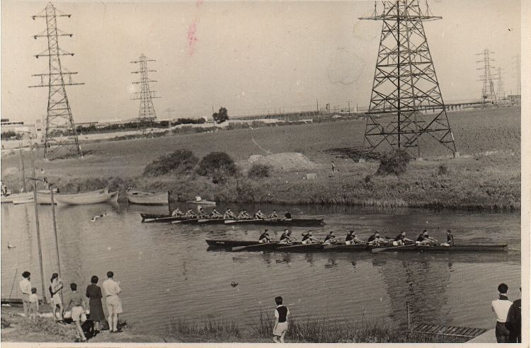 Regatta on Yarkon River, Palestine  1941.